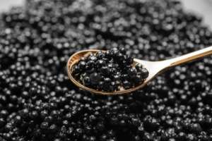 Photo-1-le-caviar-et-ses-nombreux-bienfaits-kaviaro
