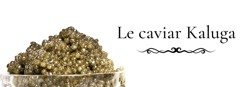 Le caviar Kaluga