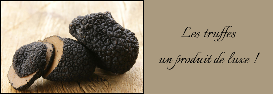Les truffes, un produit de luxe !