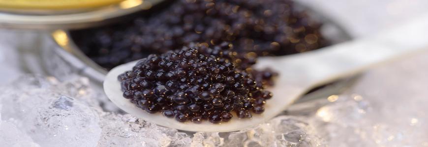 Servir et déguster le caviar