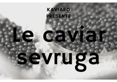 Le caviar sevruga