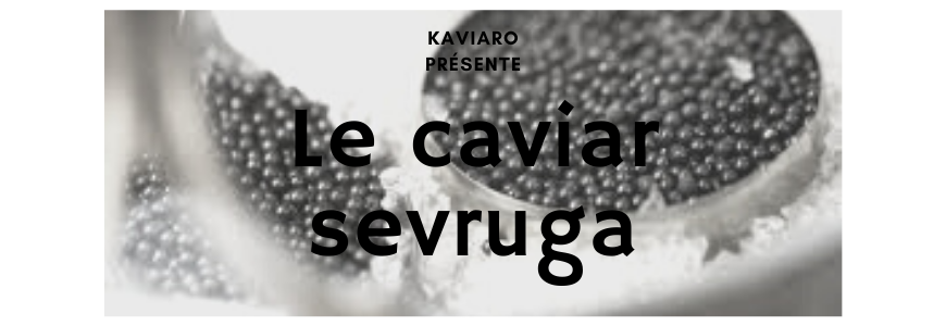 Le caviar sevruga