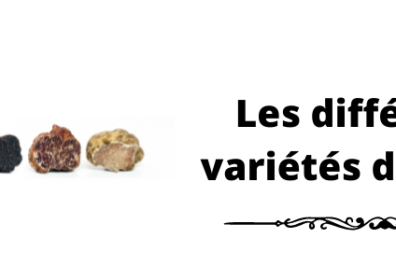 Les différentes variétés de truffes