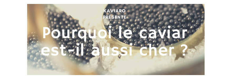 Pourquoi le caviar est-il aussi cher ?