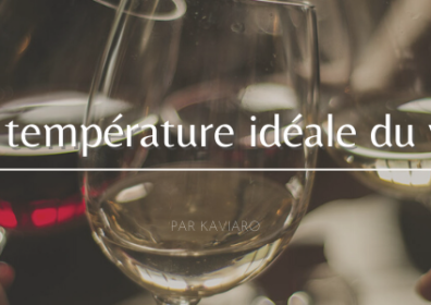 La température idéale du vin