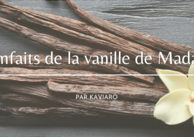 Les bienfaits de la vanille de Madagascar