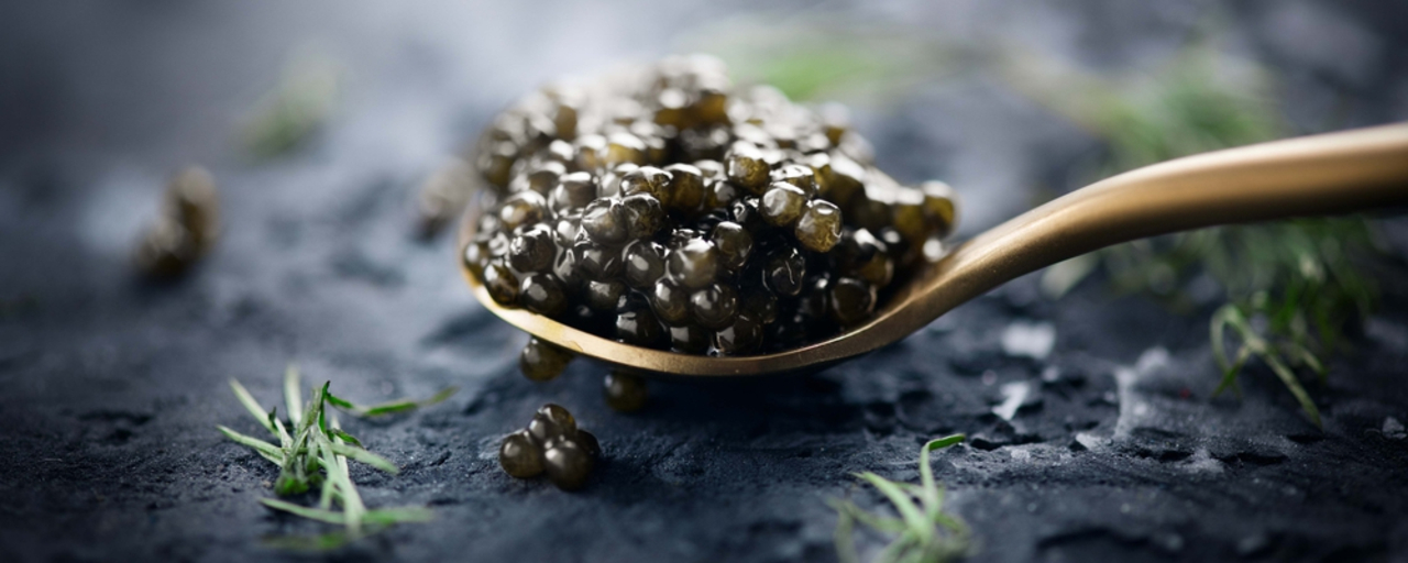 image-slider-4-Black caviar in a spoon on dark background. Natural sturgeon